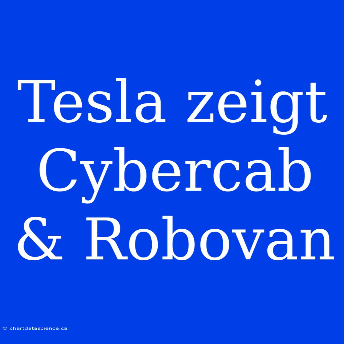 Tesla Zeigt Cybercab & Robovan