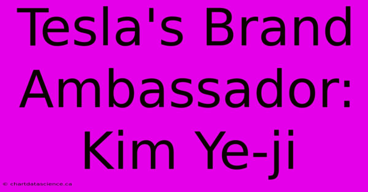 Tesla's Brand Ambassador: Kim Ye-ji 