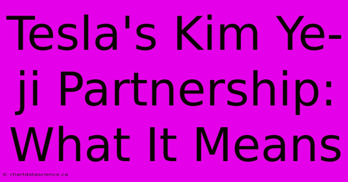 Tesla's Kim Ye-ji Partnership: What It Means