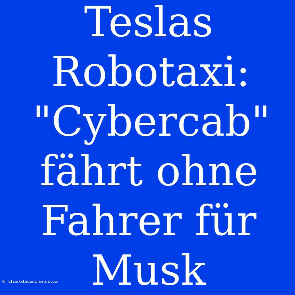 Teslas Robotaxi: 