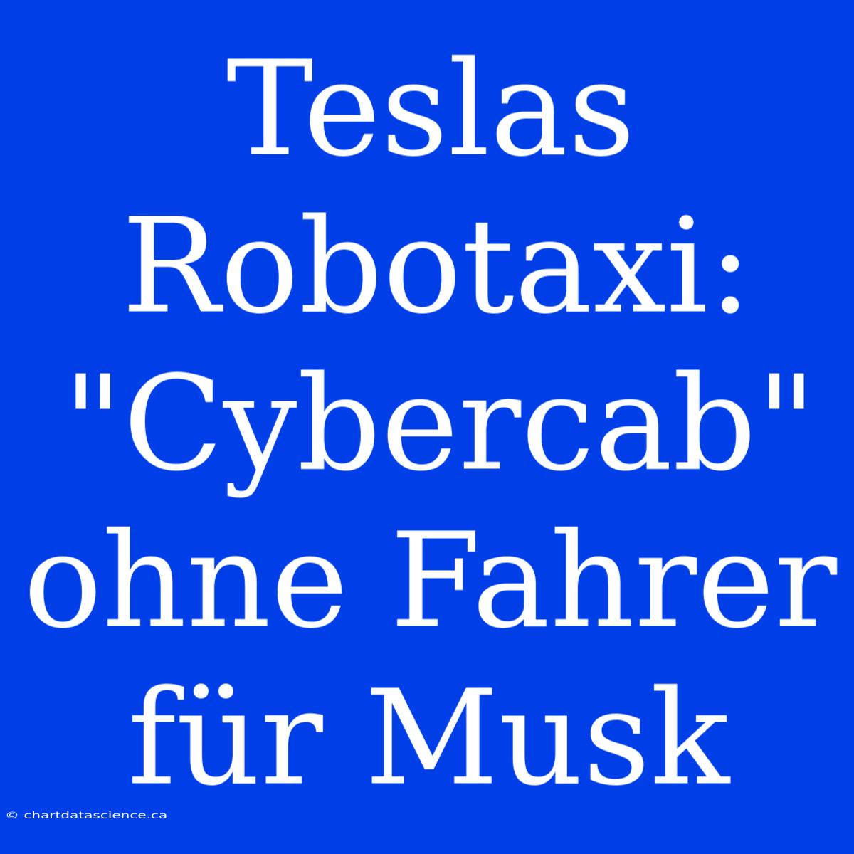 Teslas Robotaxi: 