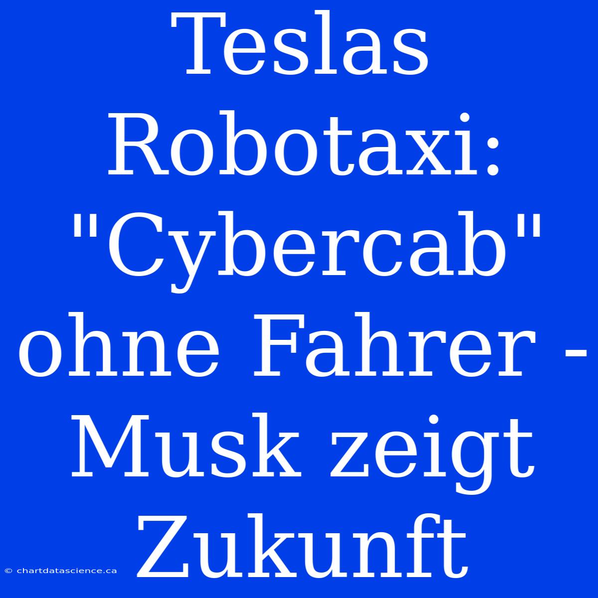 Teslas Robotaxi: 