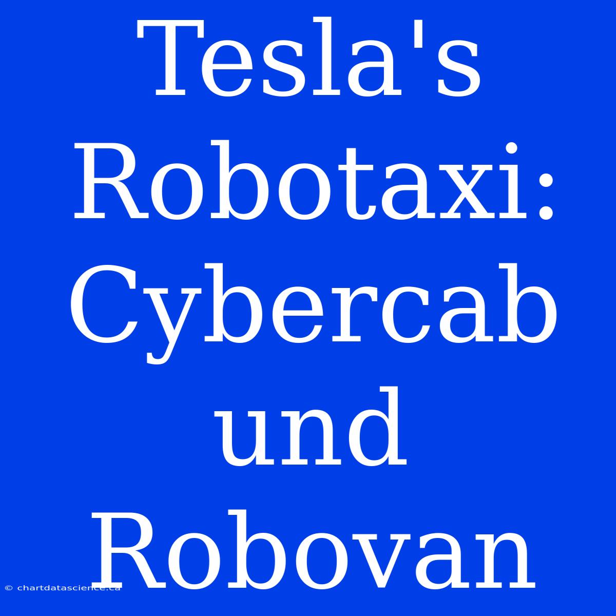 Tesla's Robotaxi: Cybercab Und Robovan