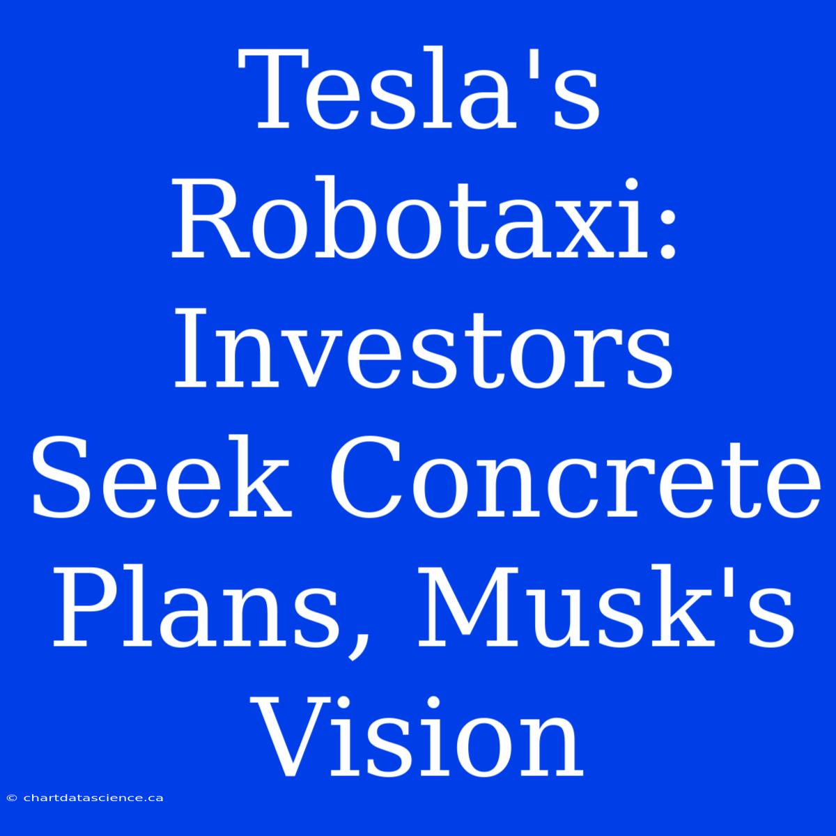 Tesla's Robotaxi: Investors Seek Concrete Plans, Musk's Vision