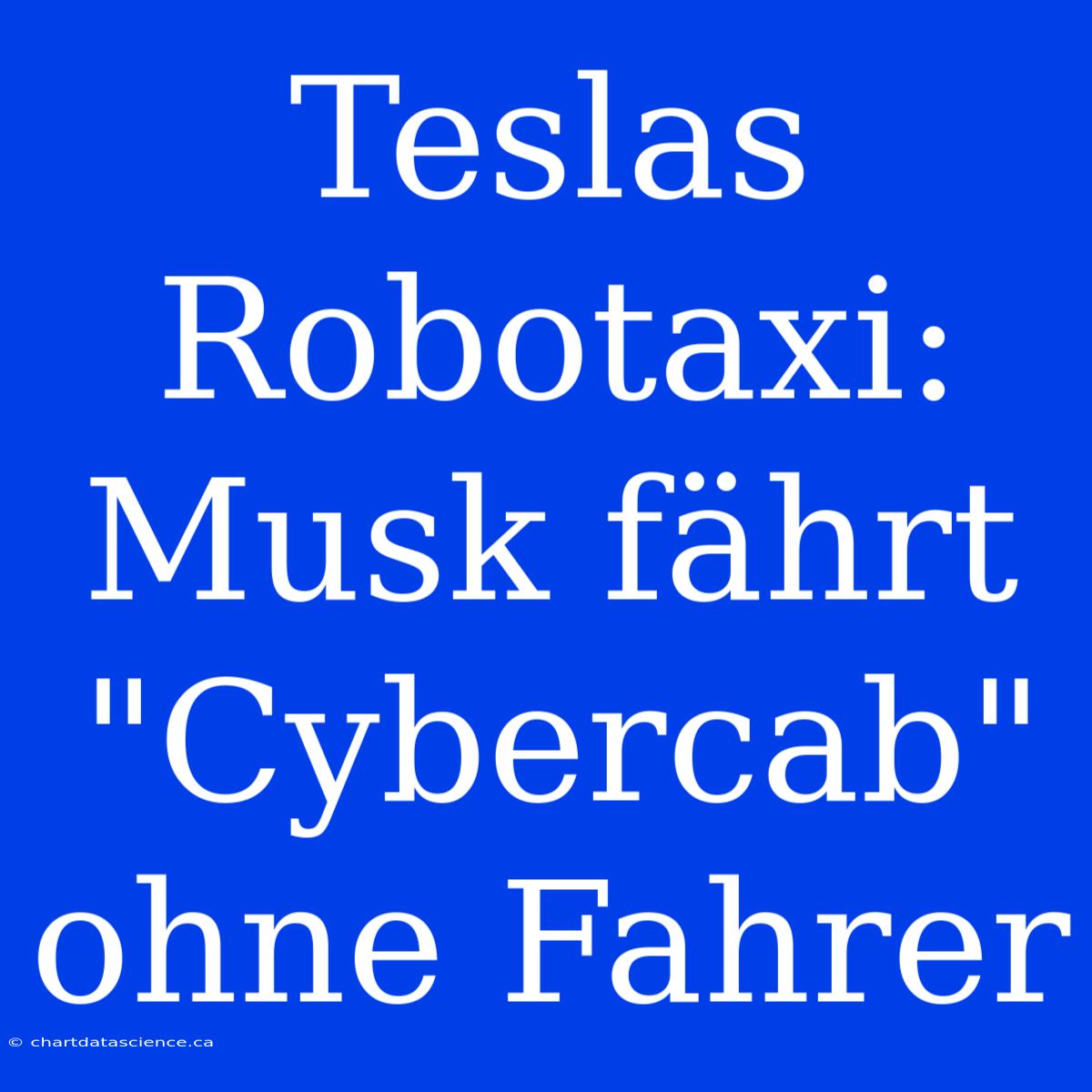 Teslas Robotaxi: Musk Fährt 