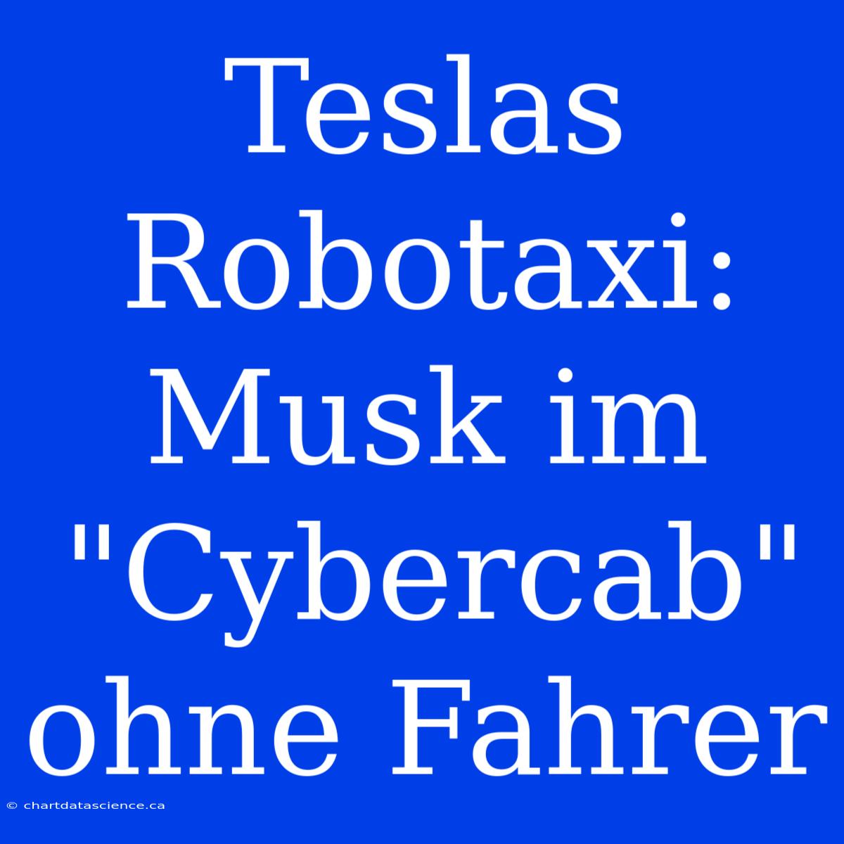 Teslas Robotaxi: Musk Im 