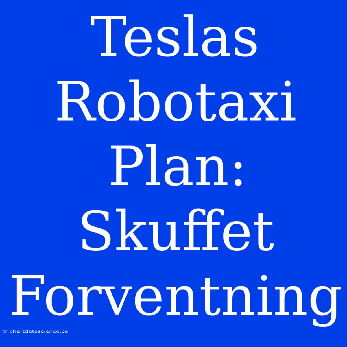 Teslas Robotaxi Plan: Skuffet Forventning