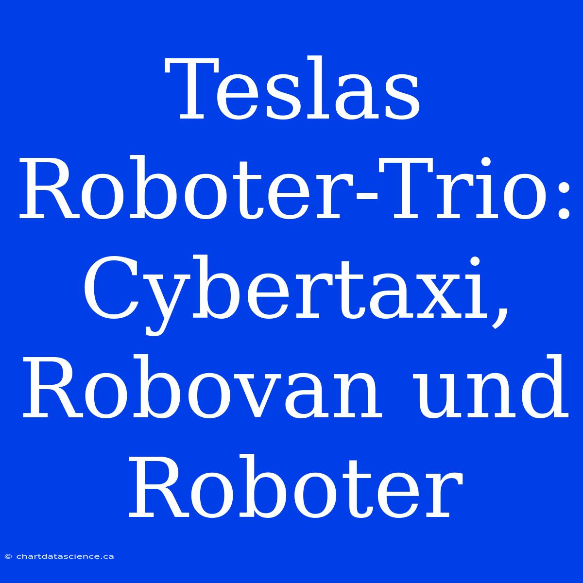 Teslas Roboter-Trio: Cybertaxi, Robovan Und Roboter