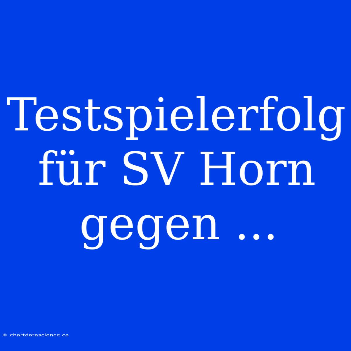 Testspielerfolg Für SV Horn Gegen ...