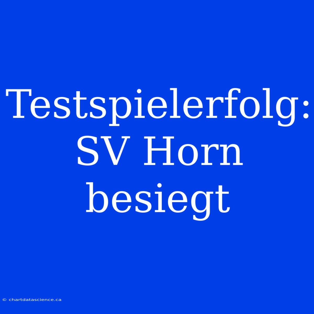 Testspielerfolg: SV Horn Besiegt