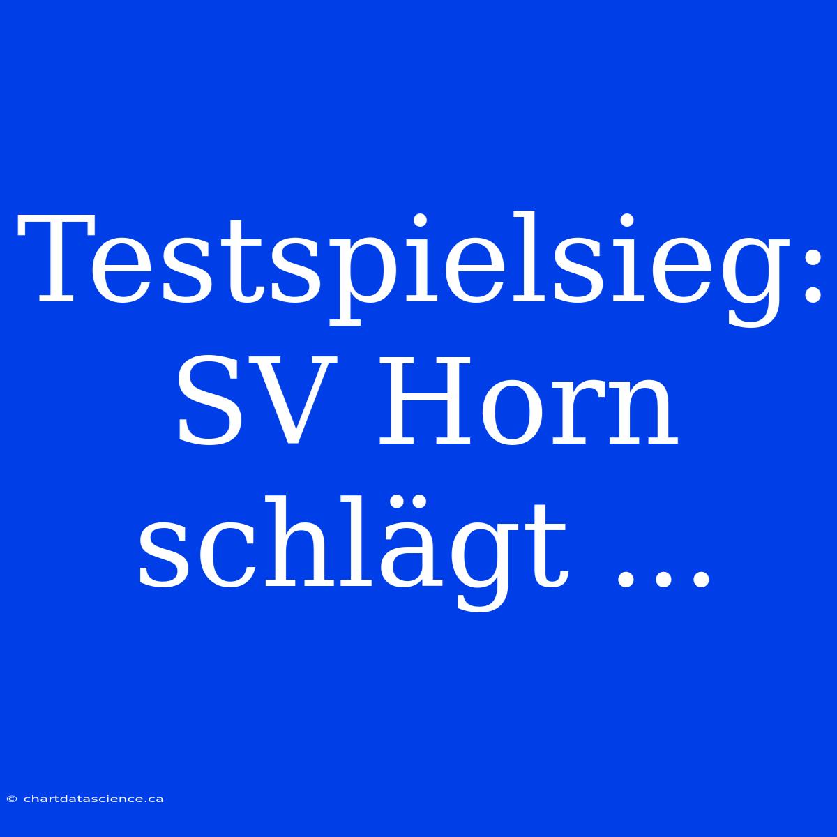 Testspielsieg: SV Horn Schlägt ...