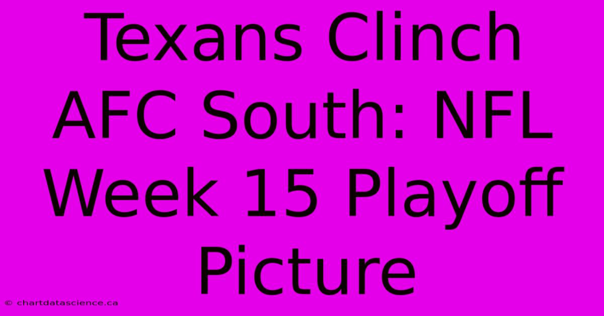 Texans Clinch AFC South: NFL Week 15 Playoff Picture