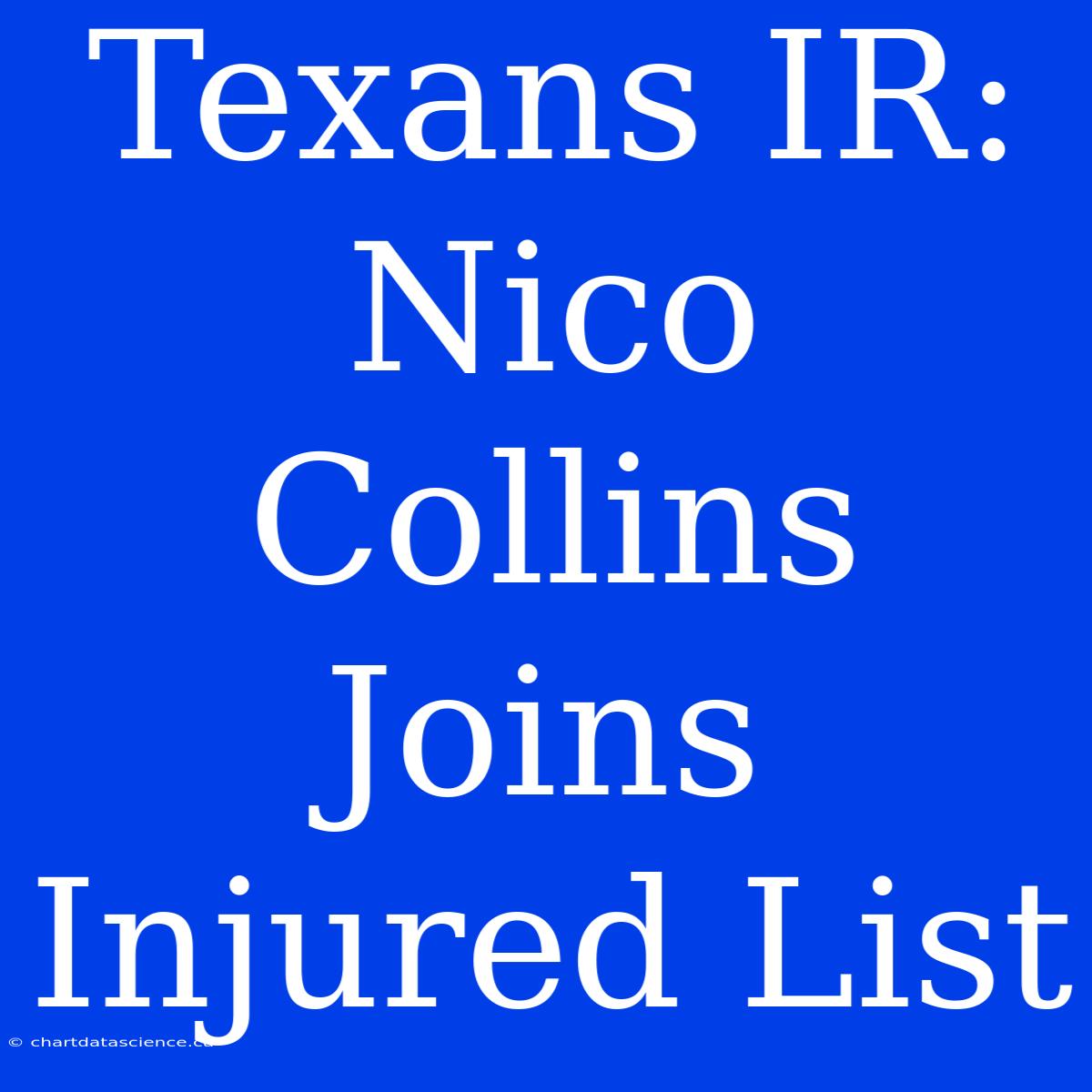 Texans IR: Nico Collins Joins Injured List