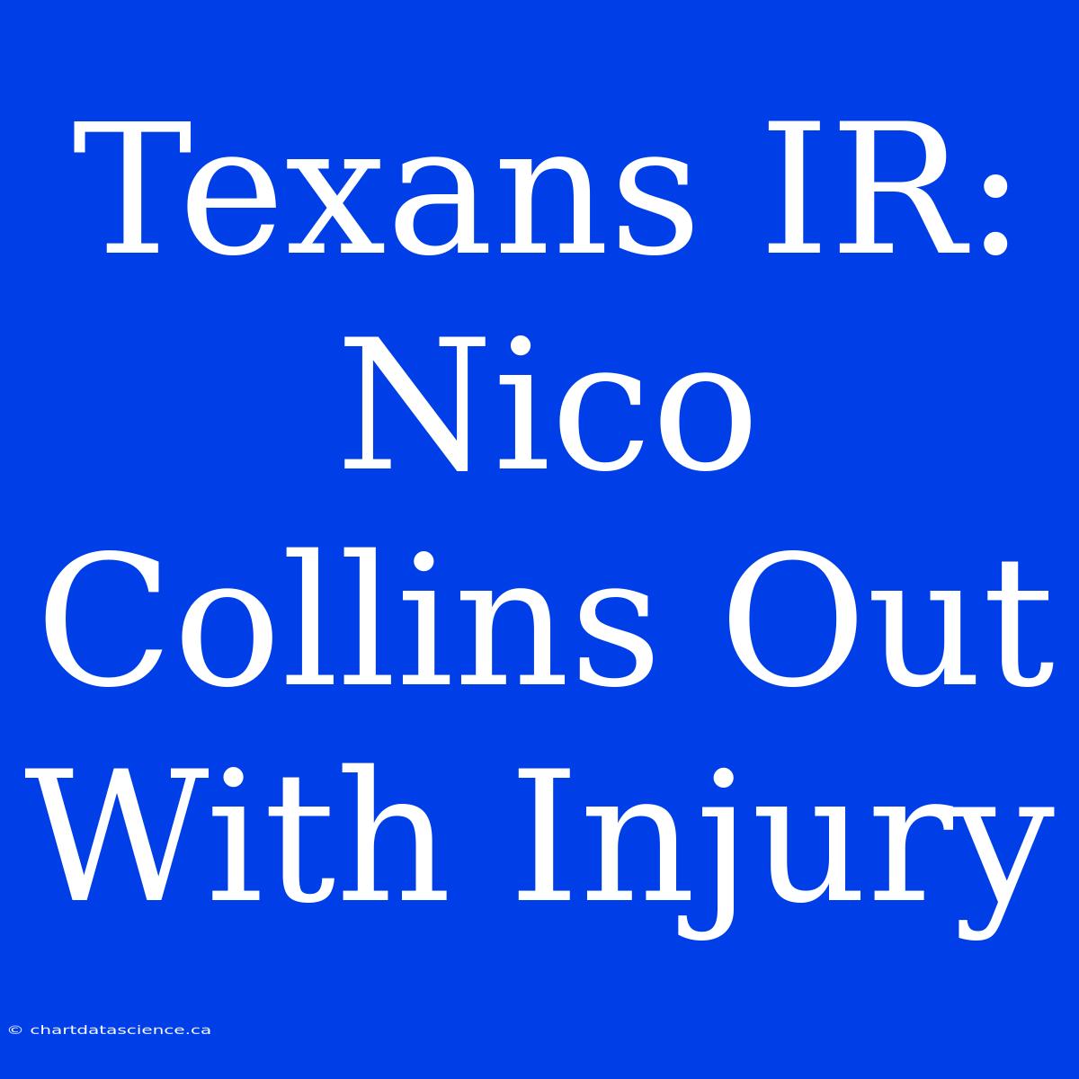 Texans IR: Nico Collins Out With Injury