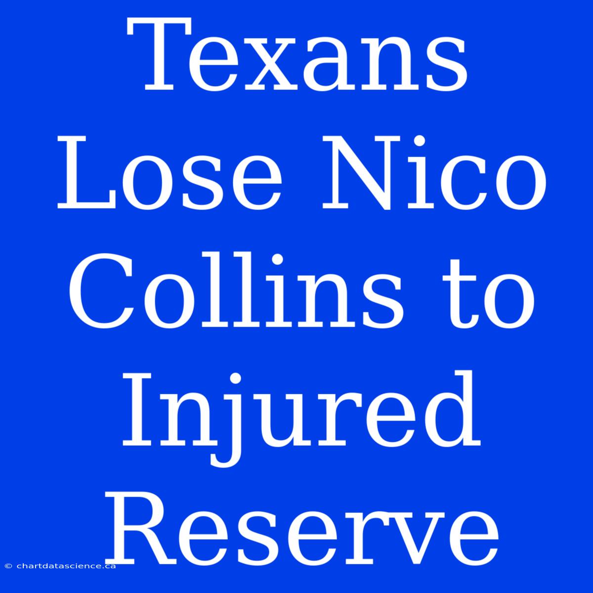 Texans Lose Nico Collins To Injured Reserve