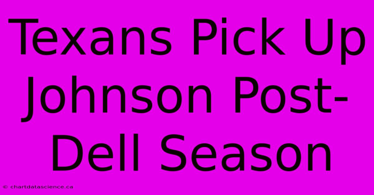 Texans Pick Up Johnson Post-Dell Season