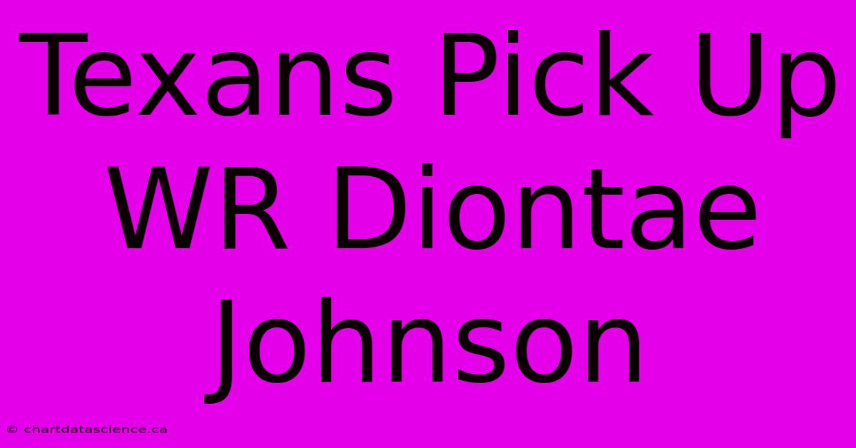 Texans Pick Up WR Diontae Johnson