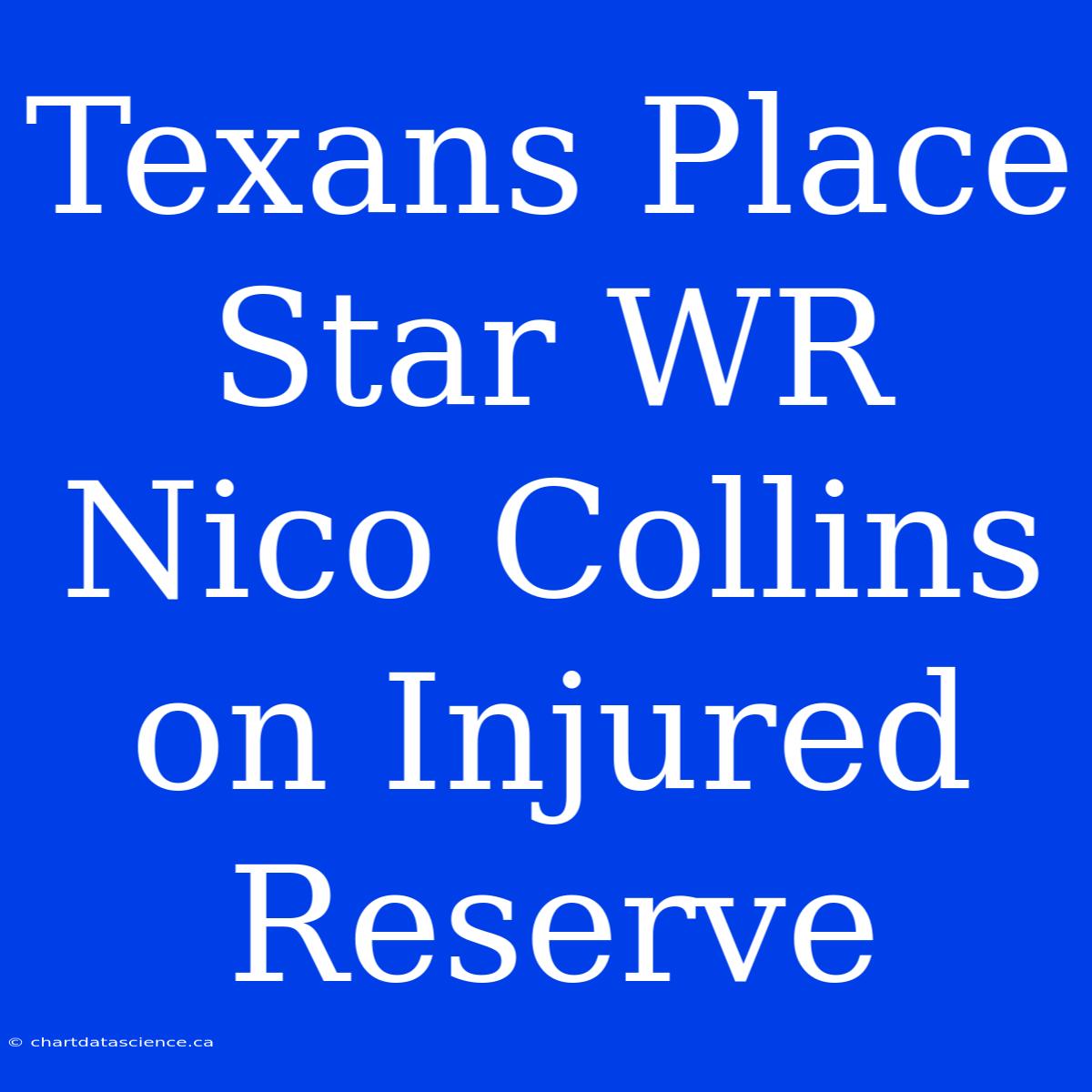 Texans Place Star WR Nico Collins On Injured Reserve