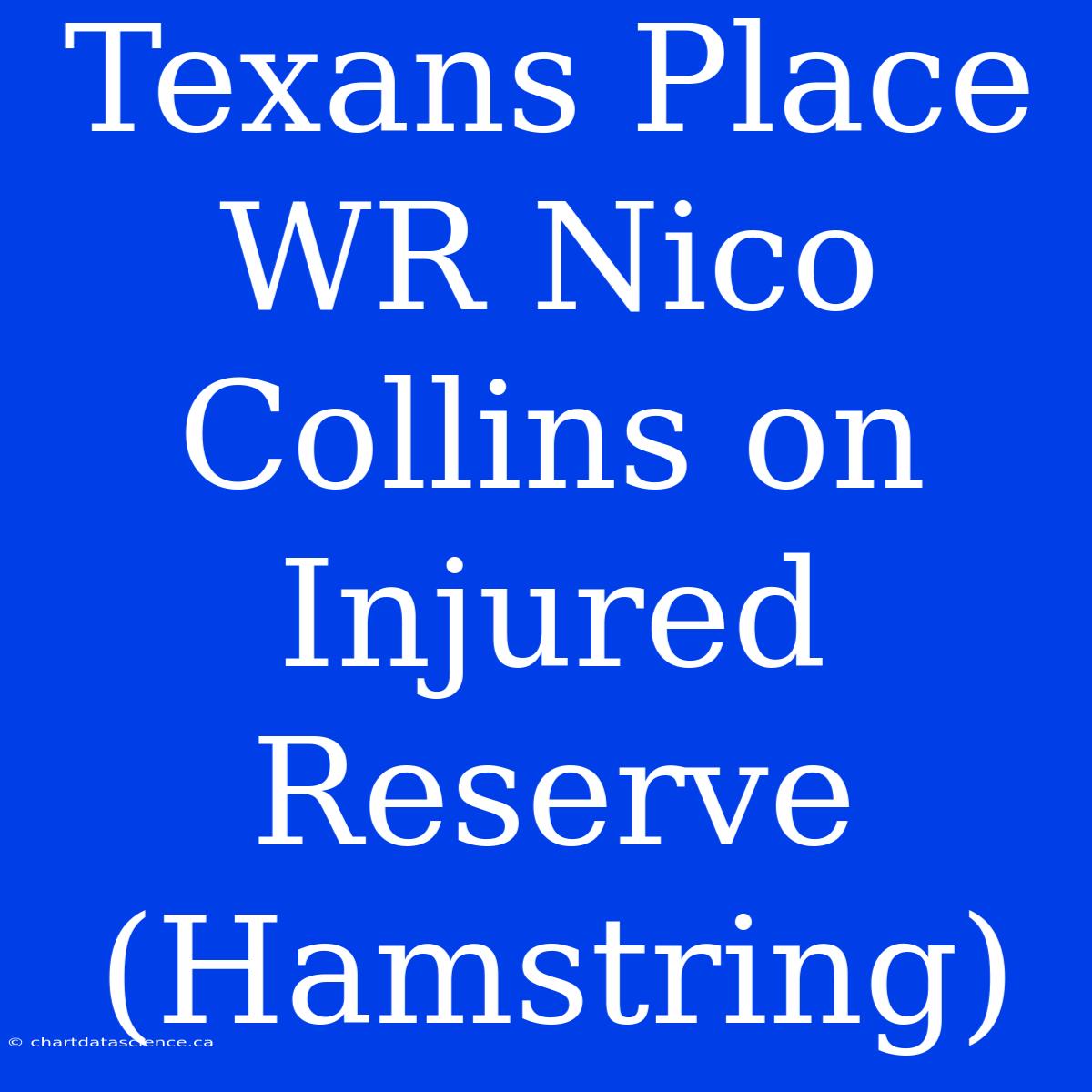 Texans Place WR Nico Collins On Injured Reserve (Hamstring)