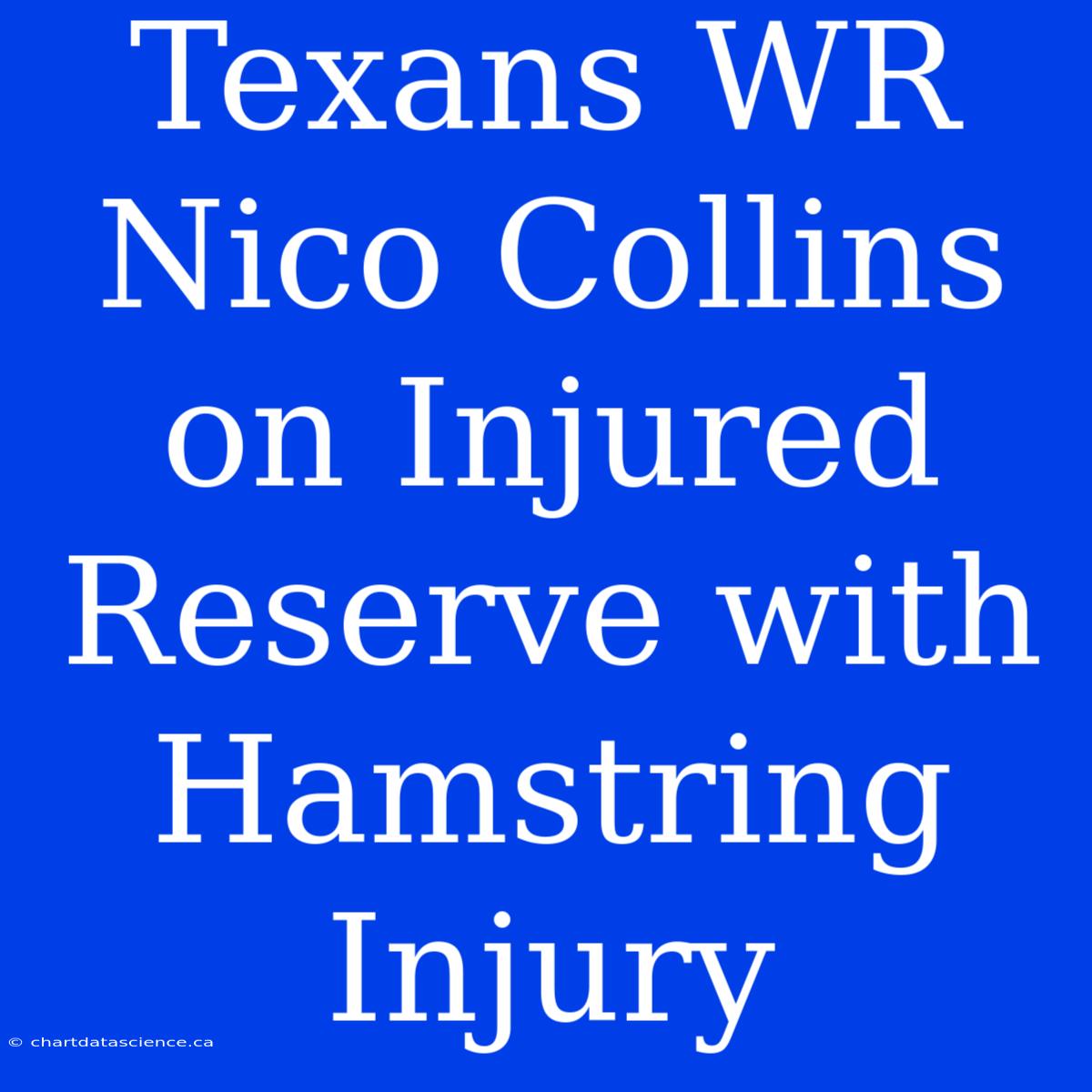 Texans WR Nico Collins On Injured Reserve With Hamstring Injury