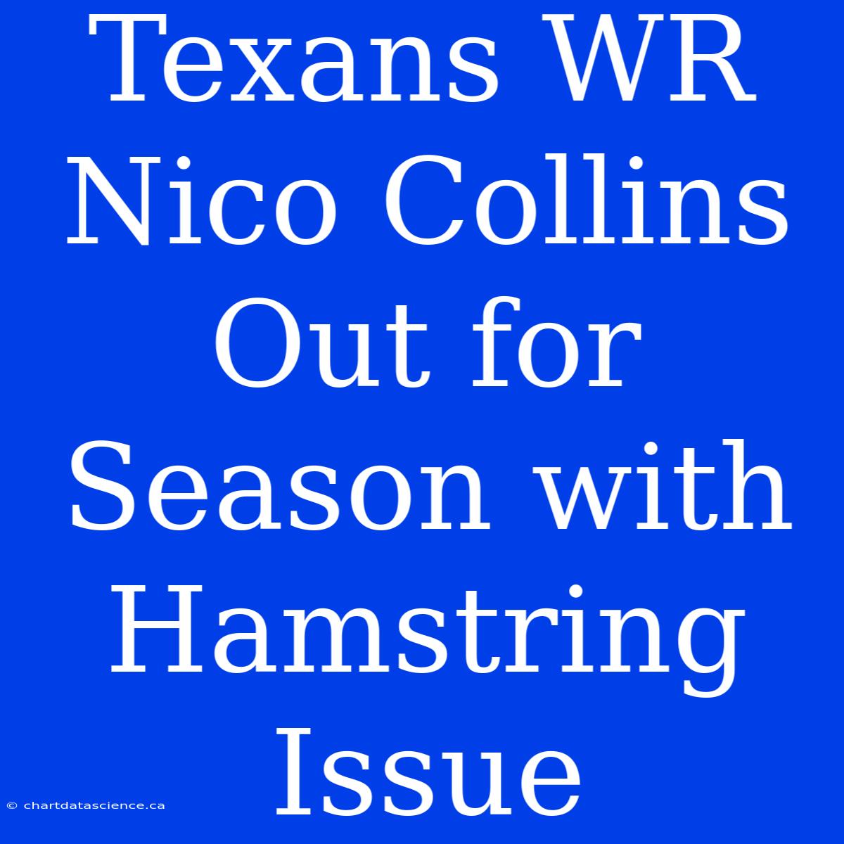 Texans WR Nico Collins Out For Season With Hamstring Issue