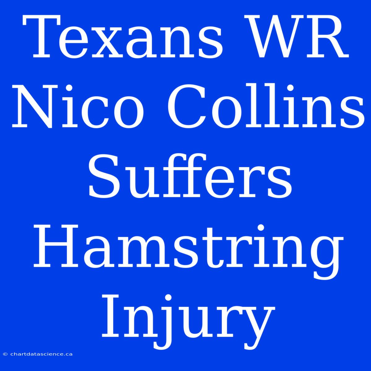 Texans WR Nico Collins Suffers Hamstring Injury