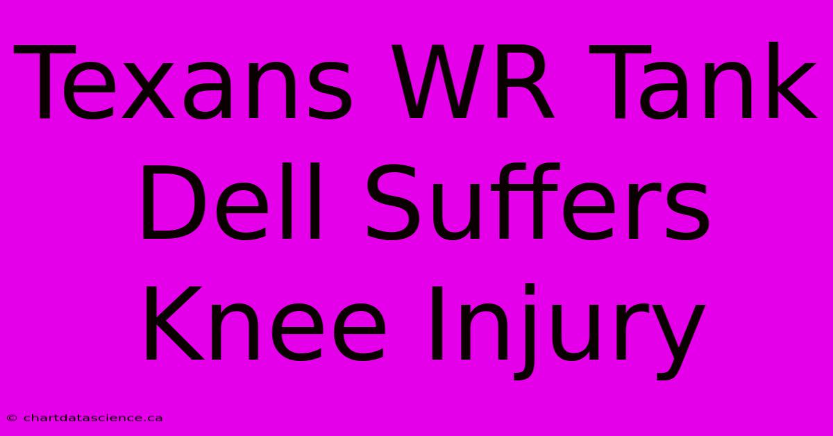 Texans WR Tank Dell Suffers Knee Injury