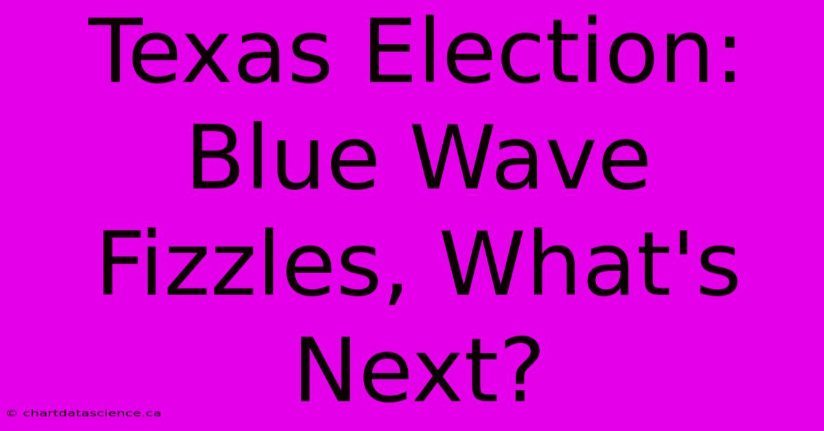 Texas Election: Blue Wave Fizzles, What's Next?