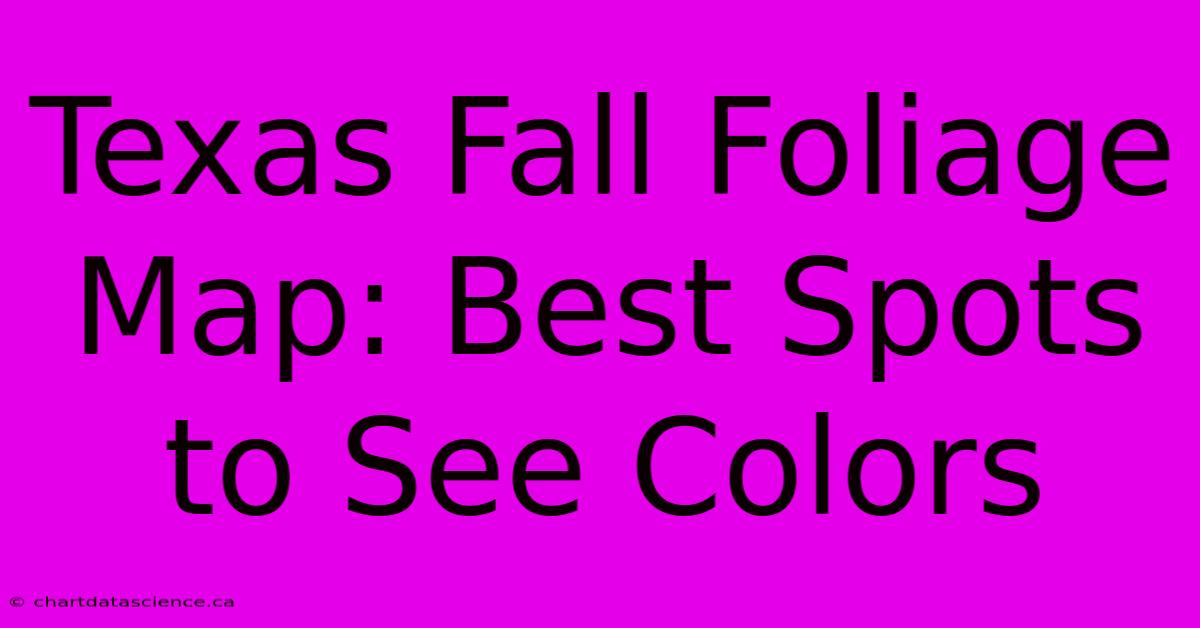 Texas Fall Foliage Map: Best Spots To See Colors