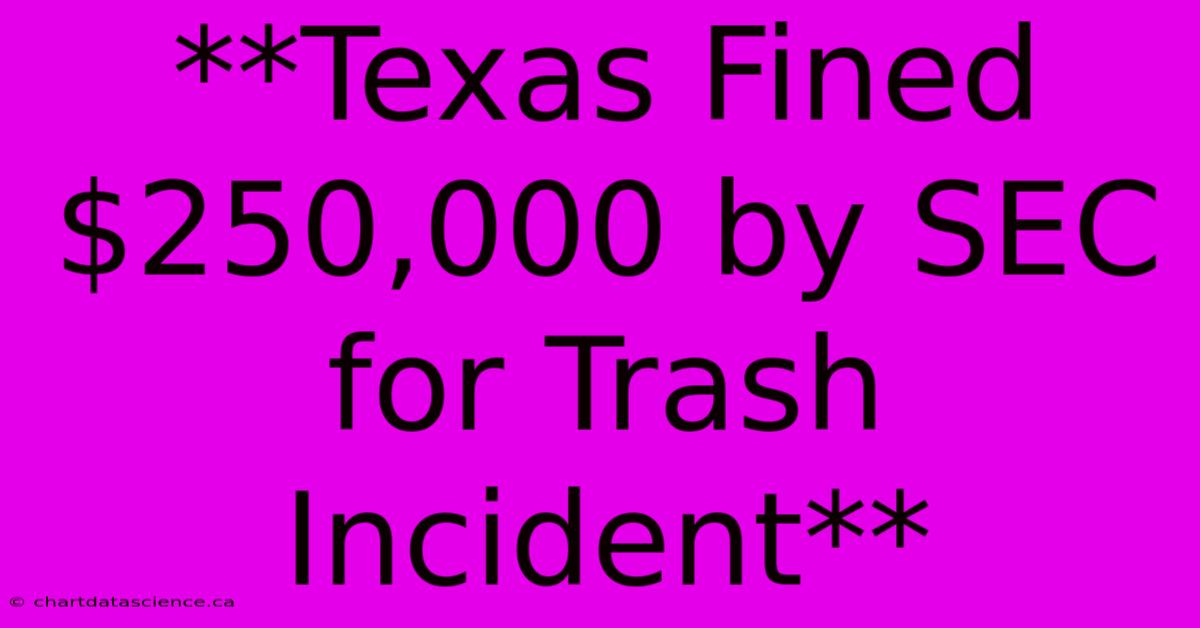 **Texas Fined $250,000 By SEC For Trash Incident** 