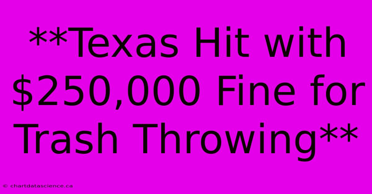 **Texas Hit With $250,000 Fine For Trash Throwing**