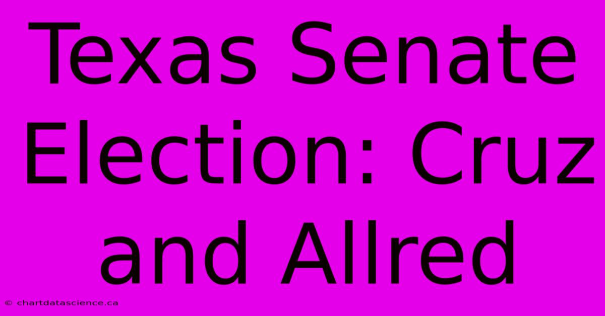 Texas Senate Election: Cruz And Allred