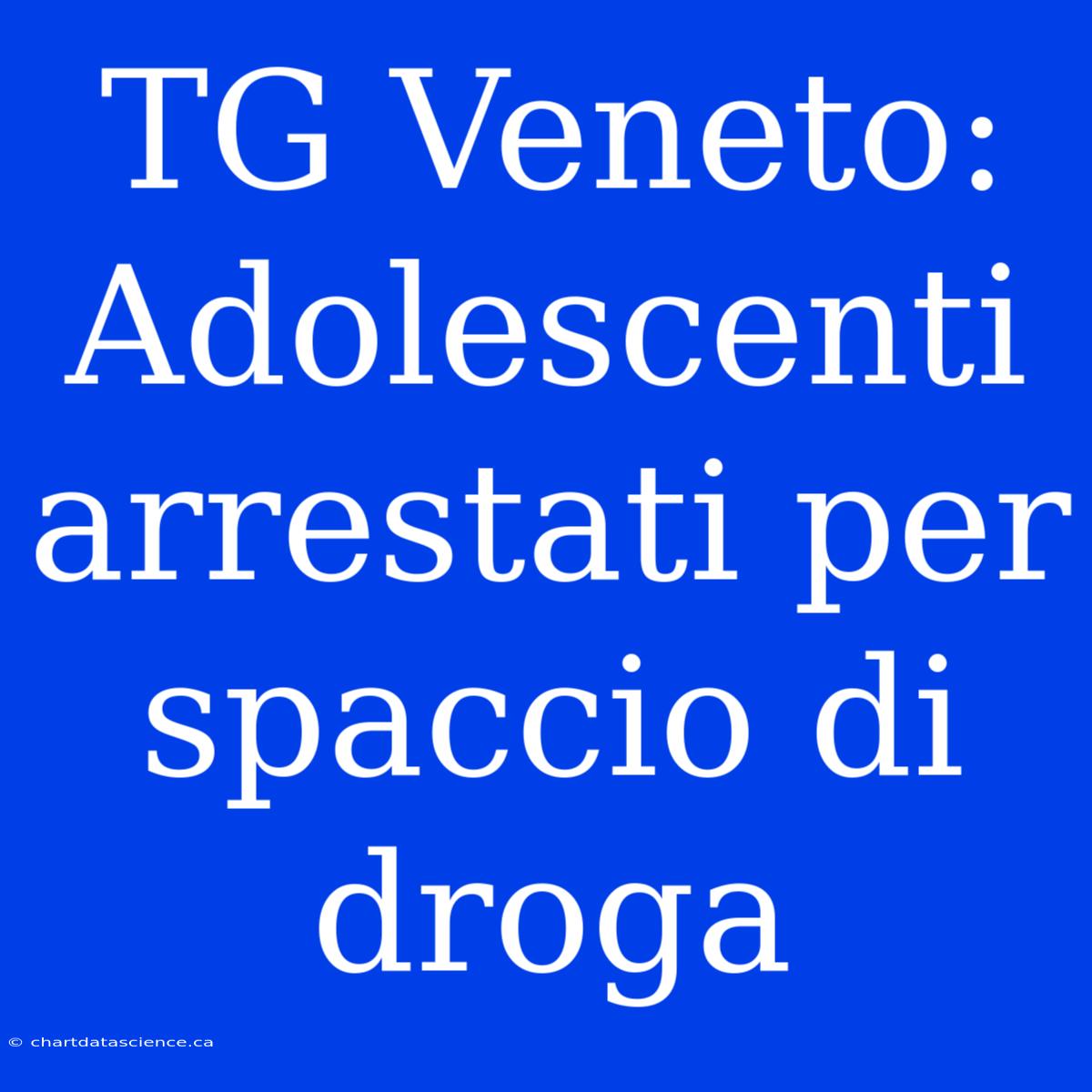 TG Veneto: Adolescenti Arrestati Per Spaccio Di Droga