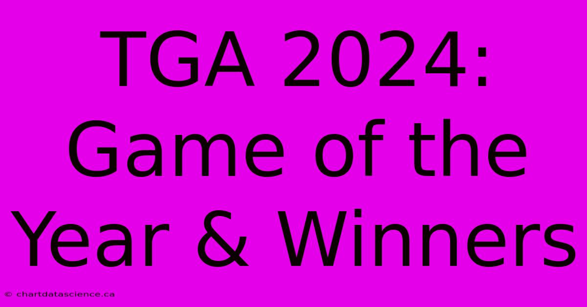 TGA 2024: Game Of The Year & Winners