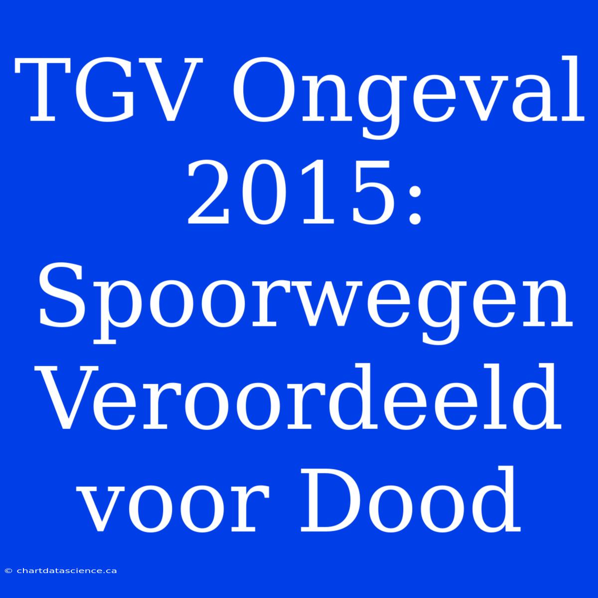 TGV Ongeval 2015: Spoorwegen Veroordeeld Voor Dood