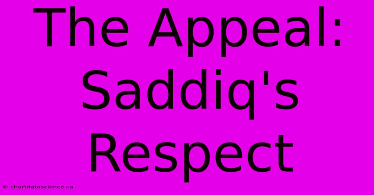 The Appeal: Saddiq's Respect