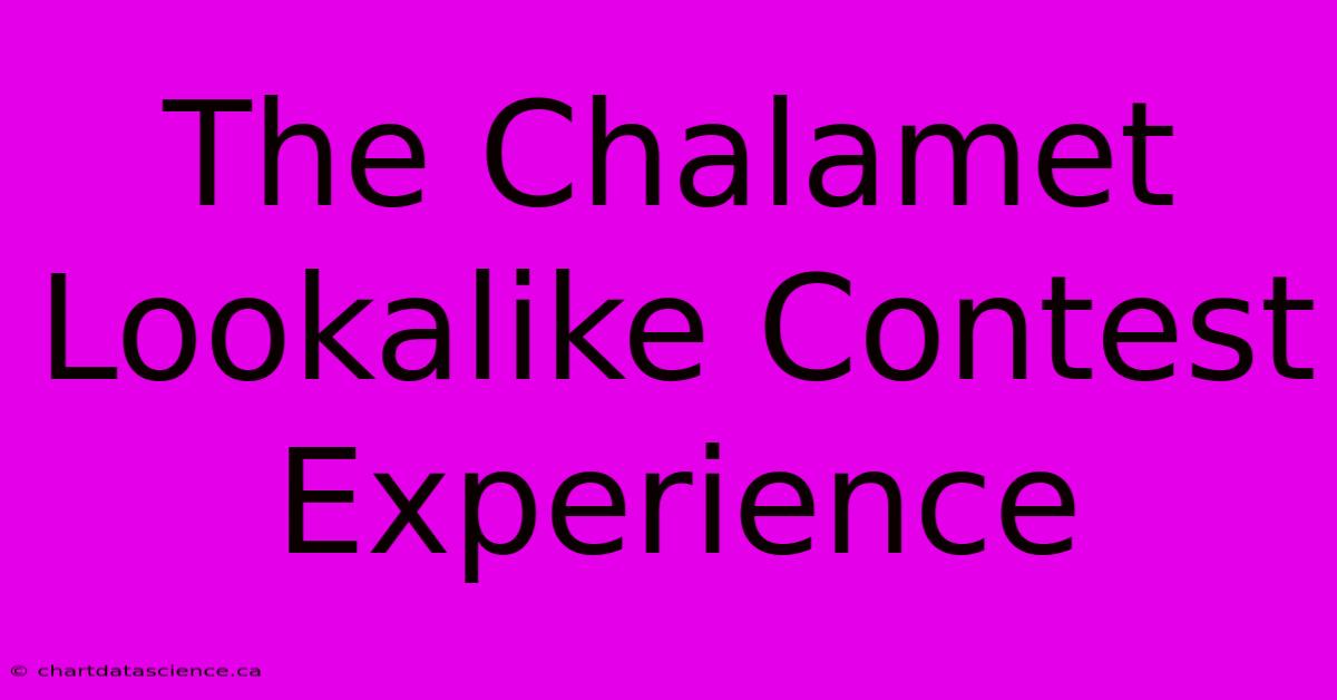 The Chalamet Lookalike Contest Experience