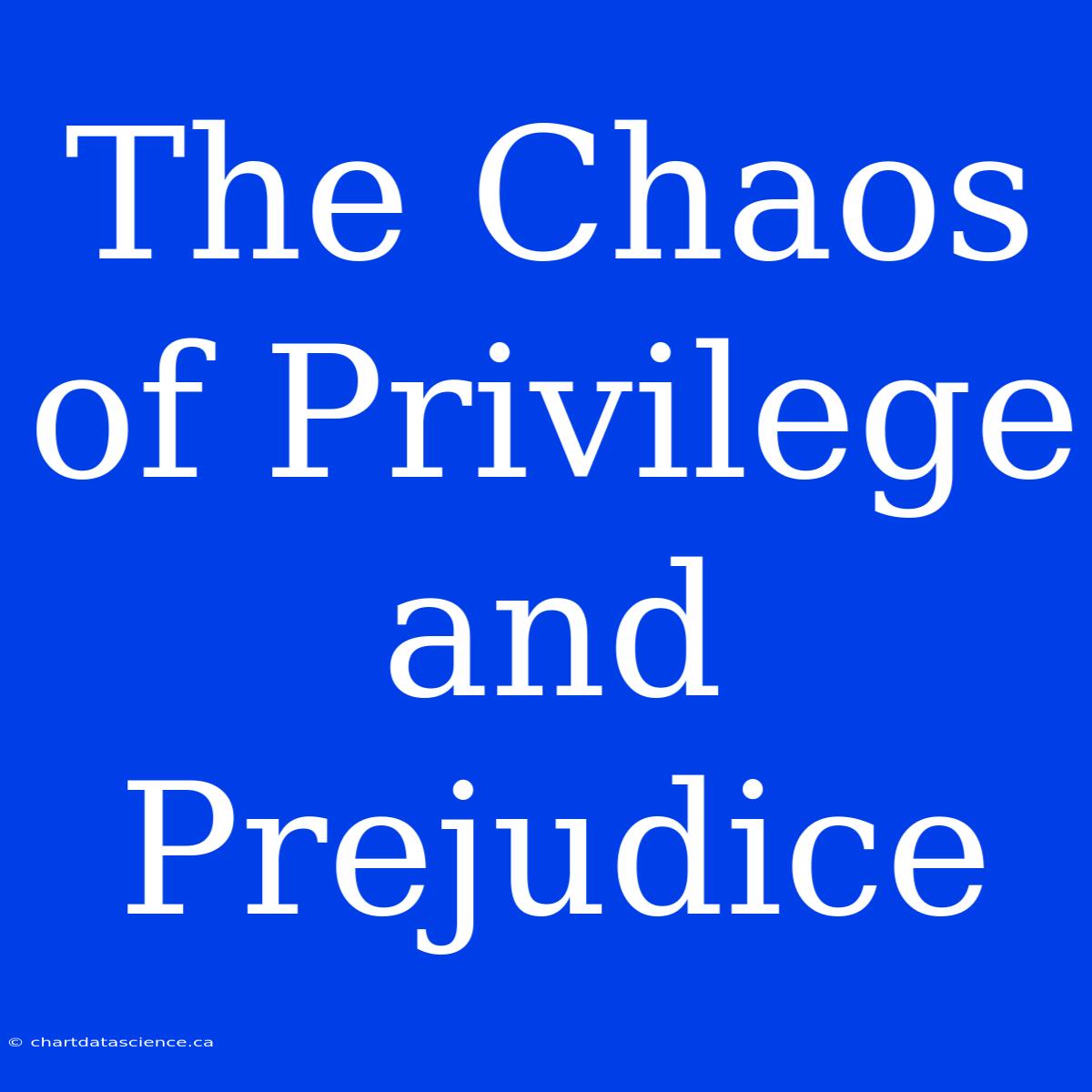 The Chaos Of Privilege And Prejudice