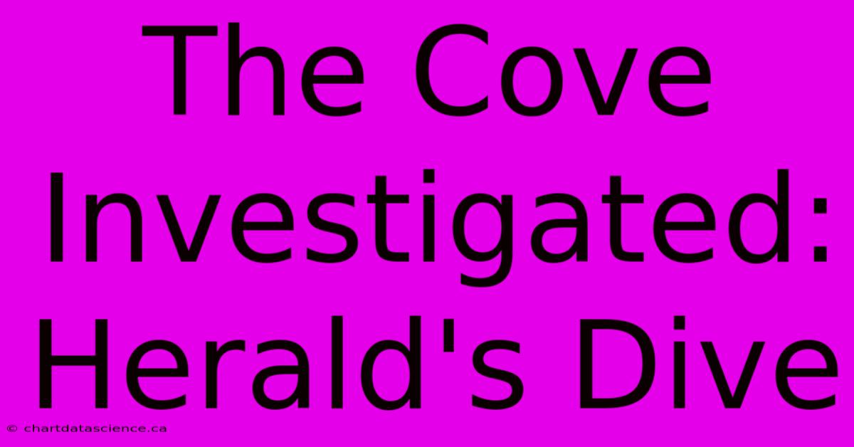 The Cove Investigated: Herald's Dive