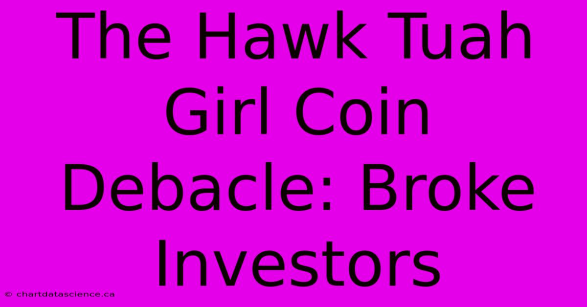 The Hawk Tuah Girl Coin Debacle: Broke Investors