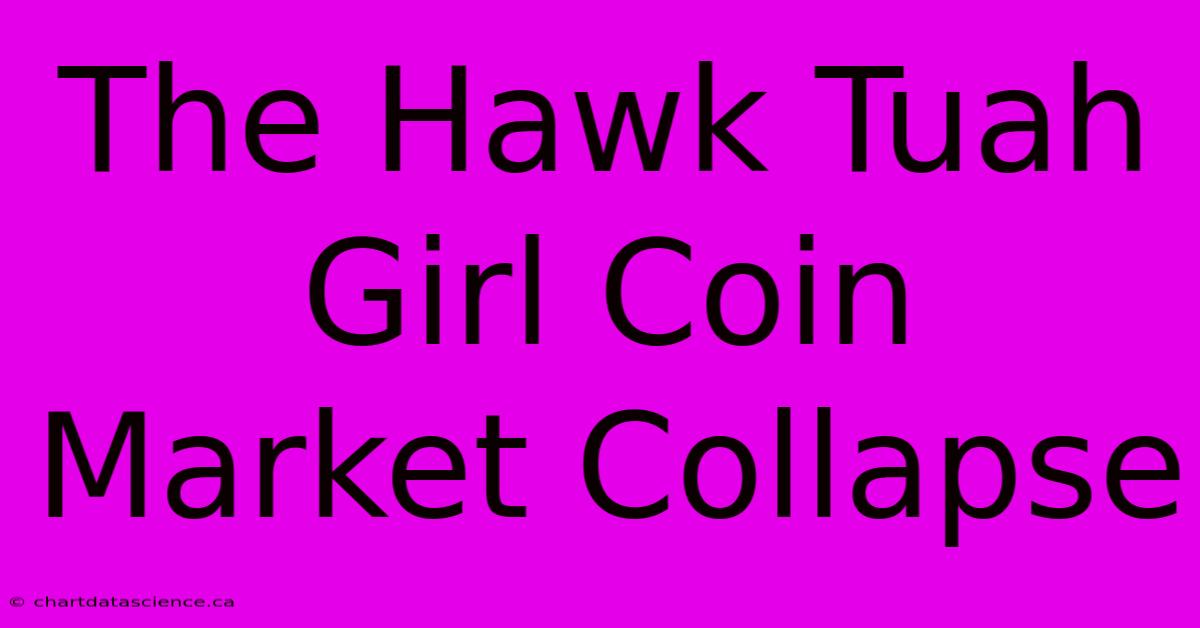 The Hawk Tuah Girl Coin Market Collapse