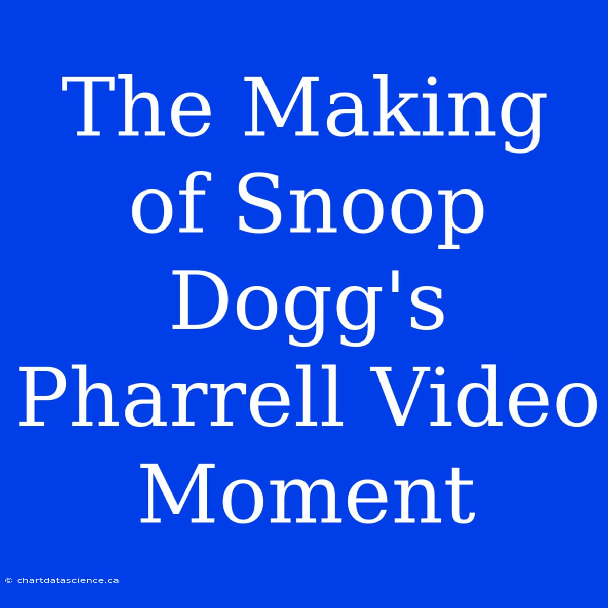 The Making Of Snoop Dogg's Pharrell Video Moment