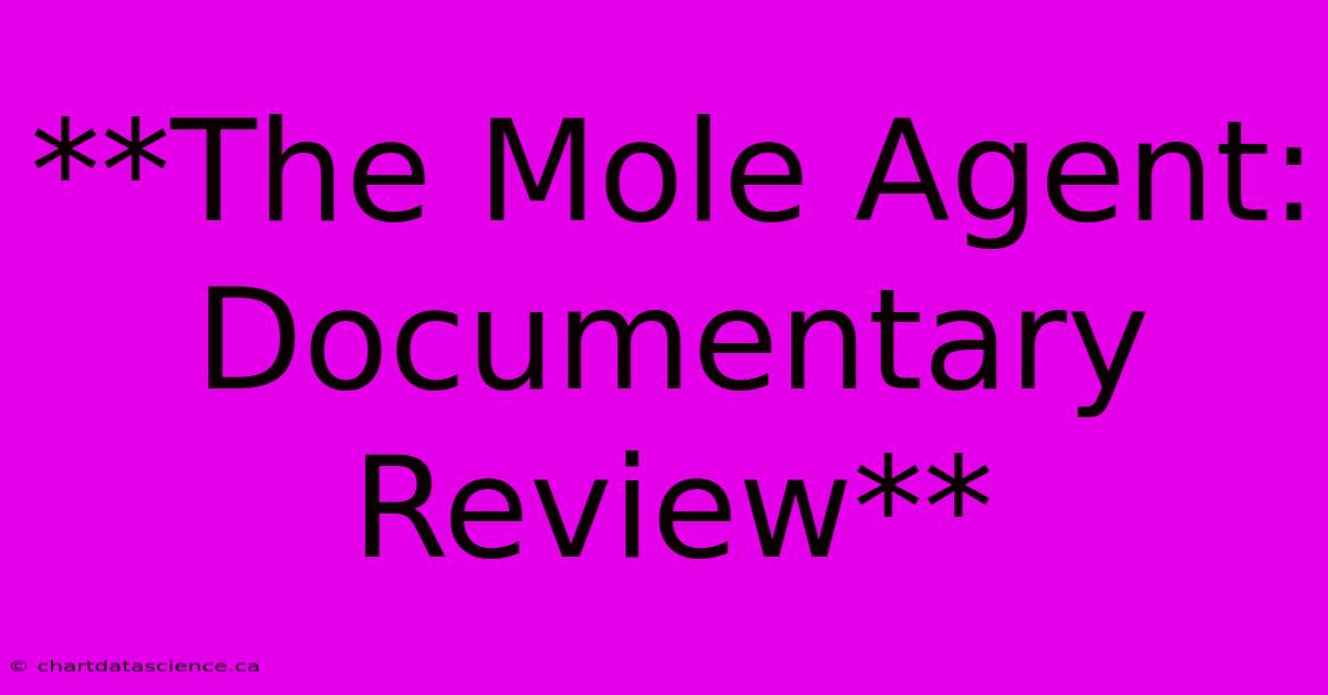 **The Mole Agent: Documentary Review**