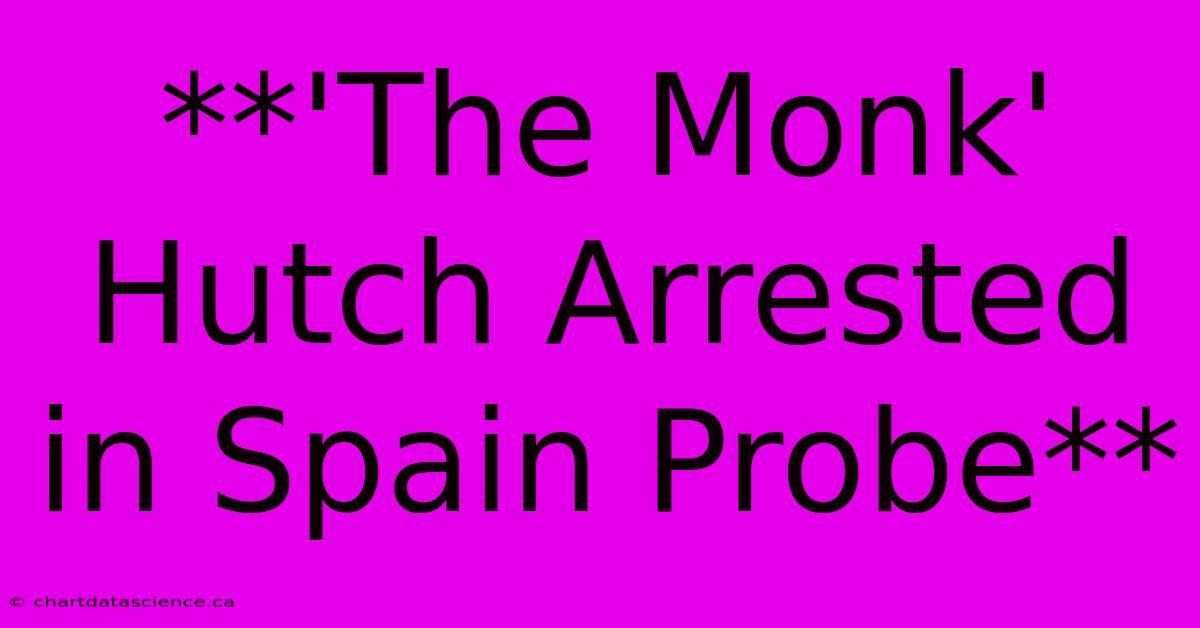 **'The Monk' Hutch Arrested In Spain Probe**