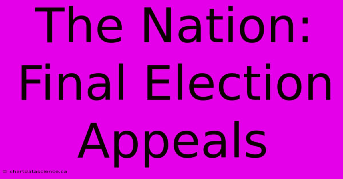 The Nation: Final Election Appeals 