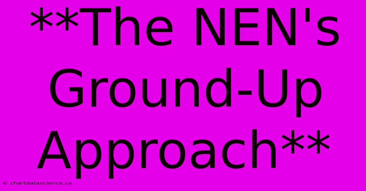 **The NEN's Ground-Up Approach**