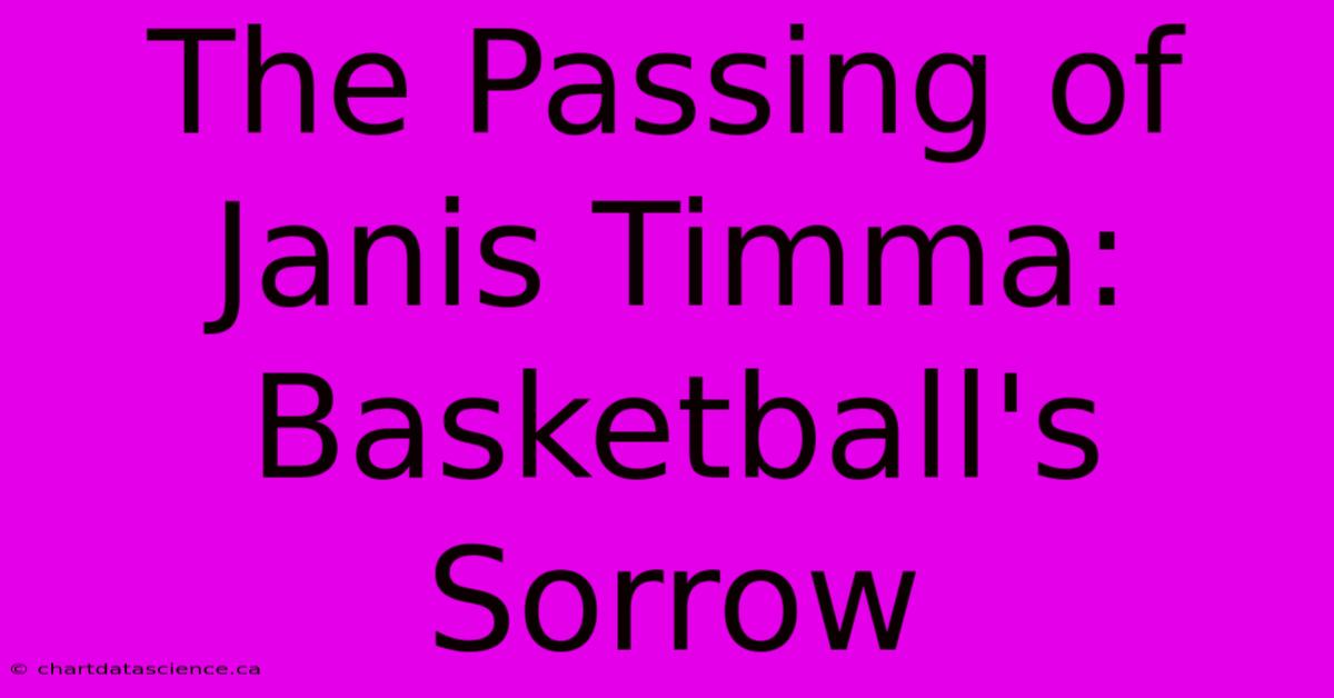 The Passing Of Janis Timma: Basketball's Sorrow