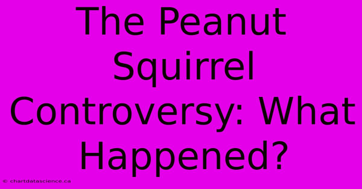 The Peanut Squirrel Controversy: What Happened?