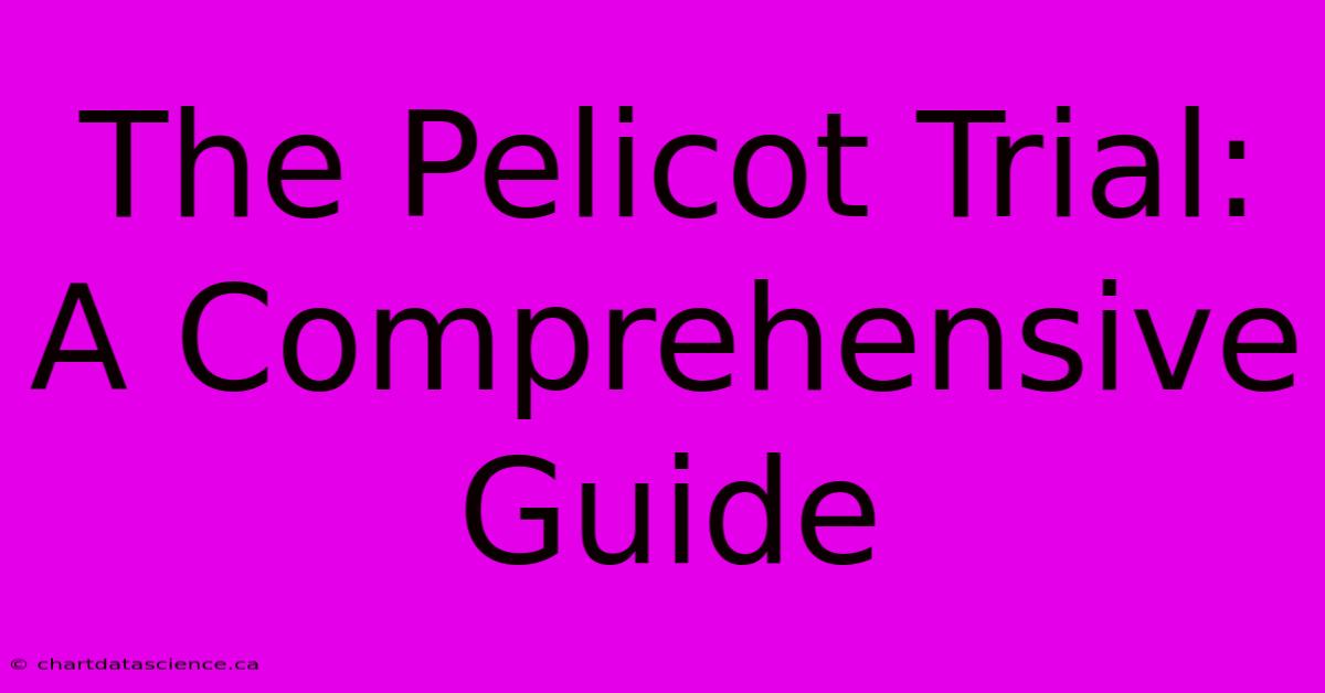 The Pelicot Trial: A Comprehensive Guide