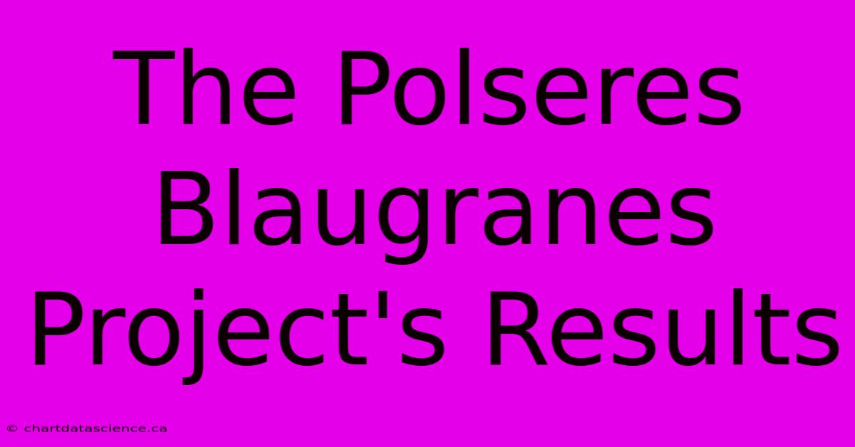 The Polseres Blaugranes Project's Results